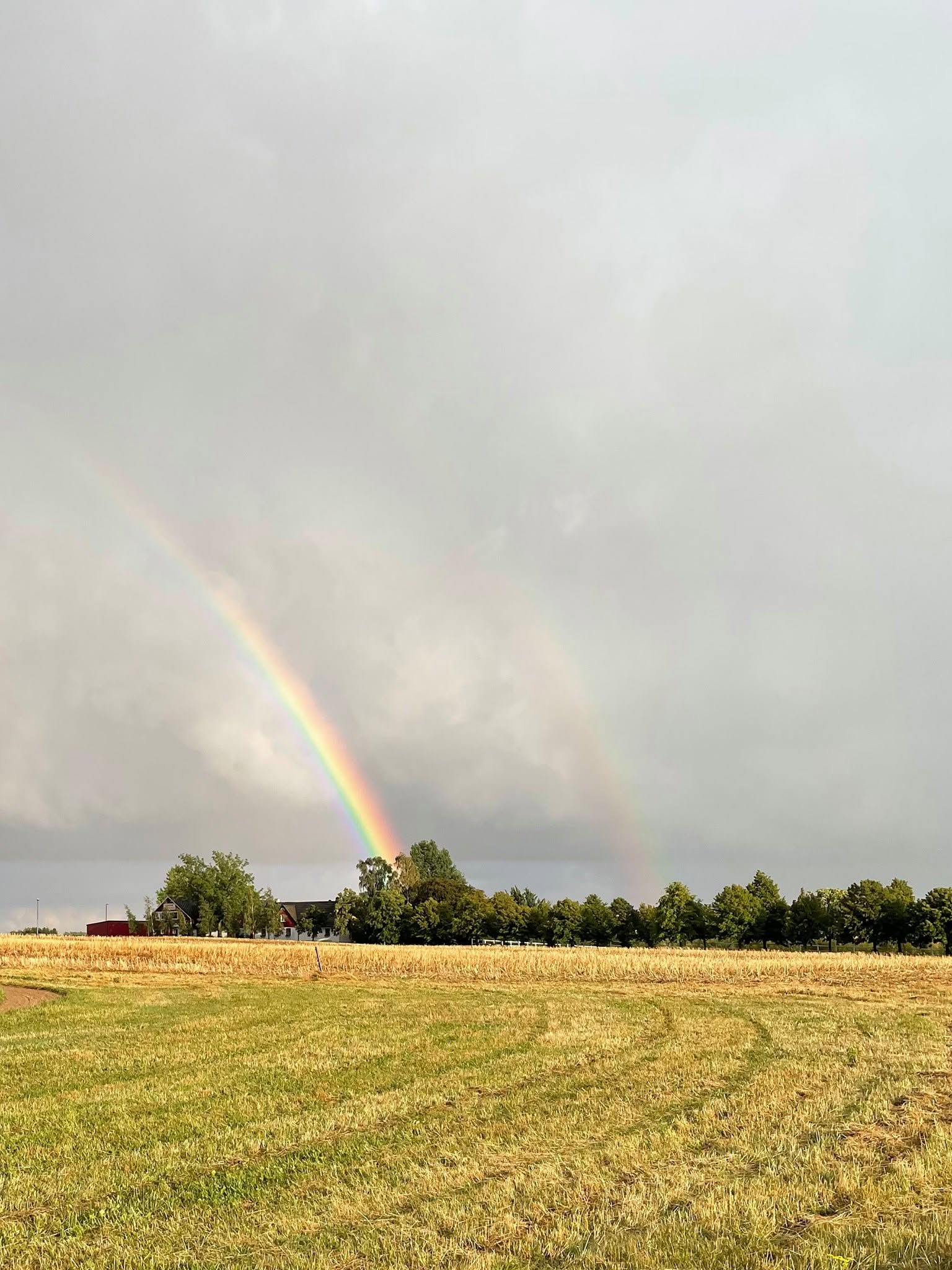 Regnbåge över hagarna på Hästhaga Gård