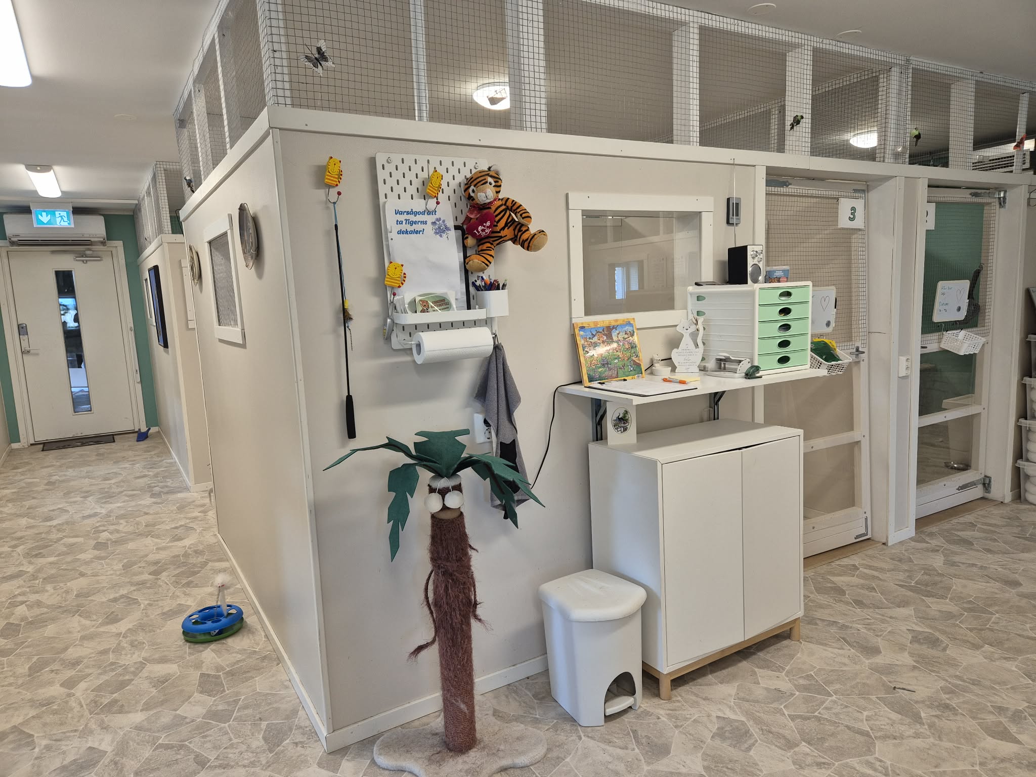 Ljus och möblerad interiör på Tigerns Katthotell